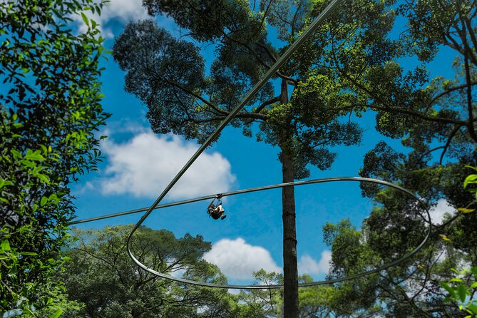 Jungle Flight Zipline Roller Coaster - Small details that make the day easier