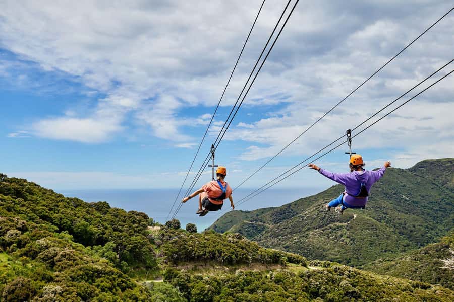 Kaikōura: Zipline and Native Forest Adventure Trip - Key points at a glance