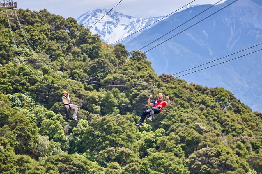 Kaikōura: Zipline and Native Forest Adventure Trip - Five ziplines, from 250 to 620 metres