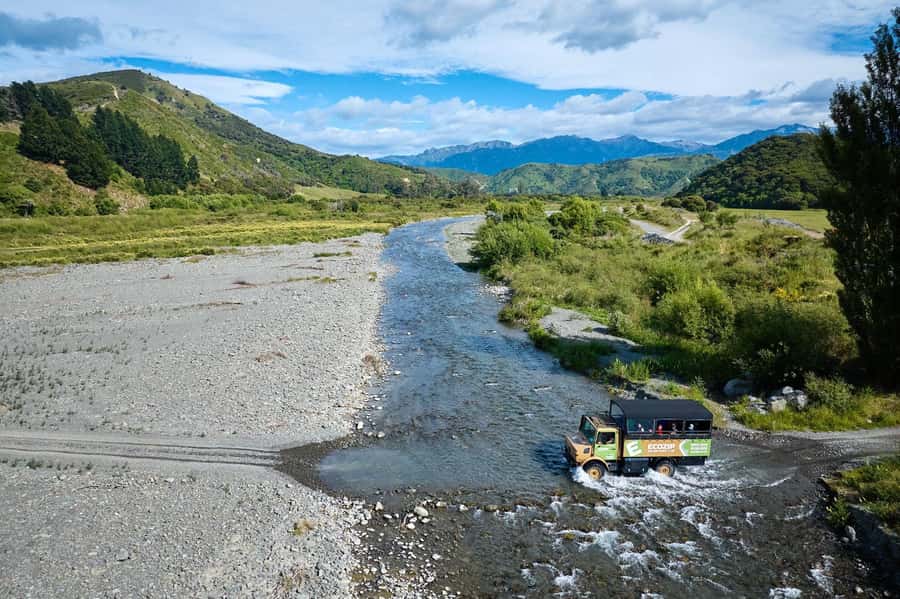 Kaikōura: Zipline and Native Forest Adventure Trip - Safety that helps beginners relax