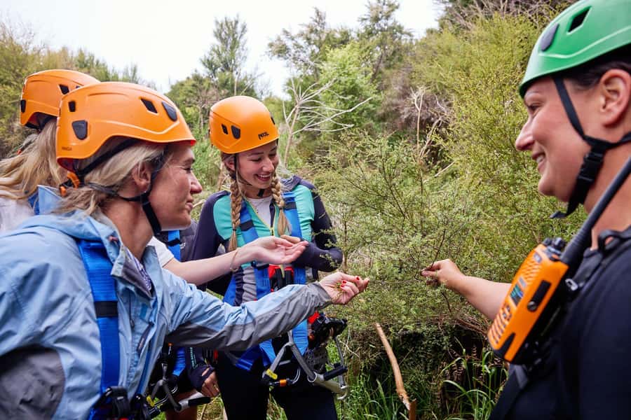 Kaikōura: Zipline and Native Forest Adventure Trip - What the guides add