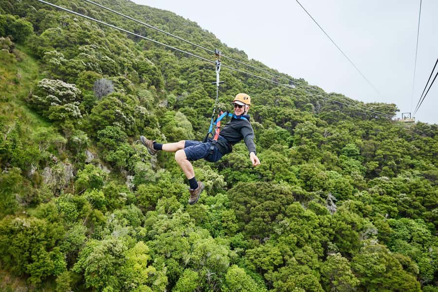 Kaikōura: Zipline and Native Forest Adventure Trip - Who will enjoy this most?