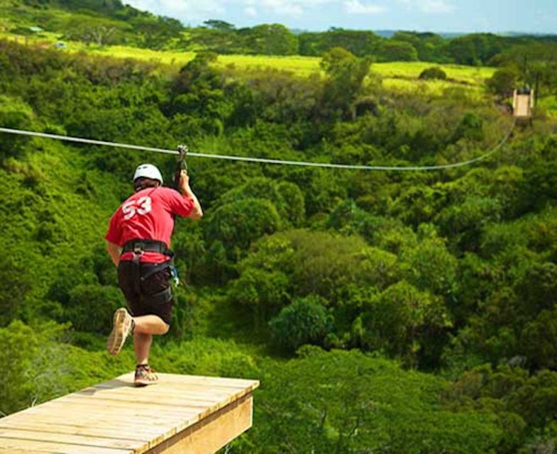 Kauai: Zipline Adventure - Key points to know