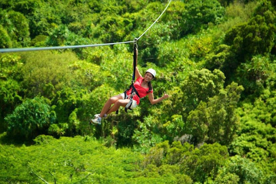Kauai: Zipline Adventure - A bird’s-eye look at Kauai’s Garden Isle