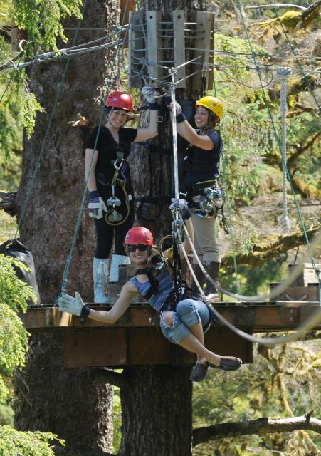 Ketchikan: Rainforest Canopy & Zipline Adventure - From Ketchikan’s waterfront to Herring Cove