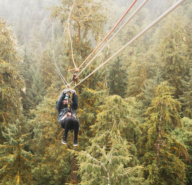 Ketchikan: Rainforest Canopy & Zipline Adventure - The hanging bridge and the 55-foot rappel