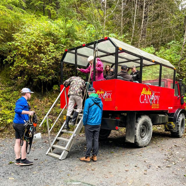 Ketchikan: Rainforest Canopy & Zipline Adventure - Should you book the Tongass canopy tour?