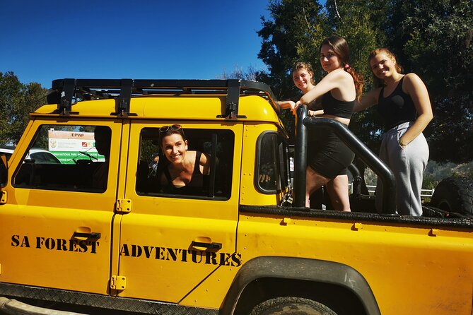 Knysna Ziplines Tour - Guides make a big difference for first-timers