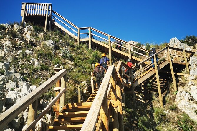 Knysna Ziplines Tour - Views, forest, and a little walking