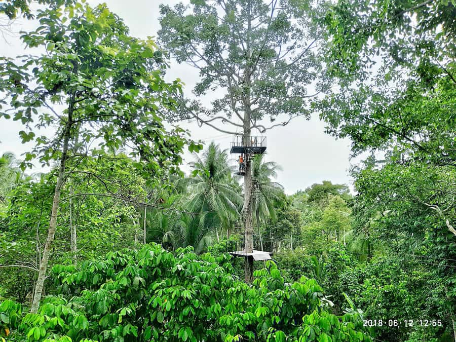 Koh Samui: ATV And Zipline Experience with Transfer - Key points at a glance