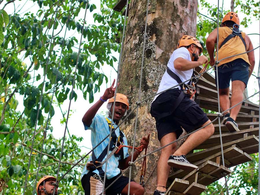 Koh Samui: Panoramic Zipline Experience at Samui Zipline - Who should book, and who should skip it