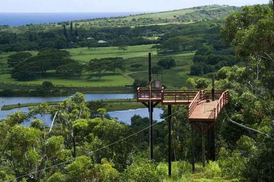 Koloa: Kauai’s Longest 8-Line Zipline Tour - What You See Between the Platforms