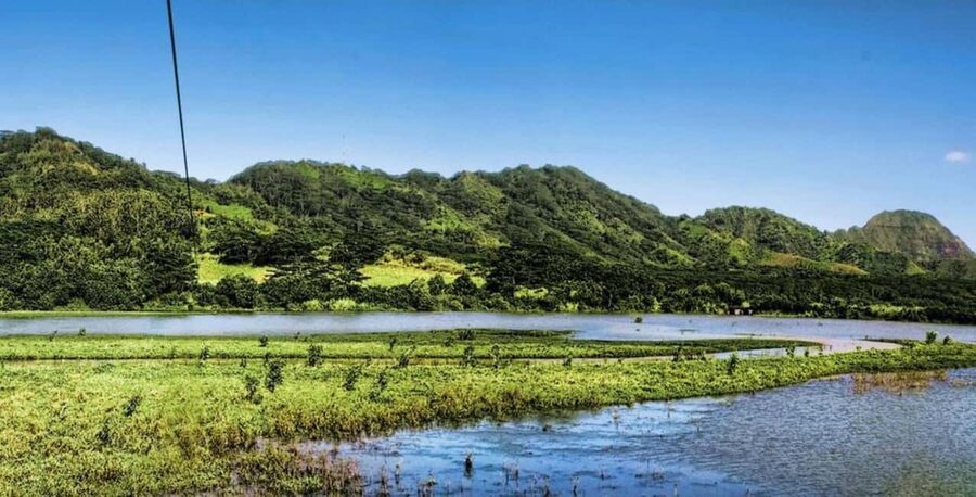 Koloa: Kauai’s Longest 8-Line Zipline Tour - Snacks, Drinks, and a Three-Hour Commitment