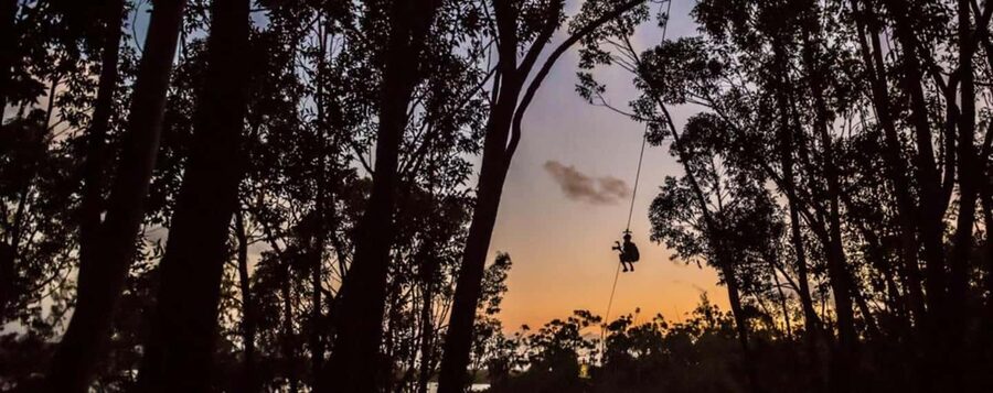 Koloa: Kauai’s Longest 8-Line Zipline Tour - Who Should Choose This Tour