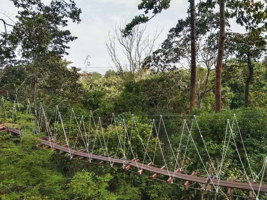 Krabi Zipline adventure - Key points to know before you book