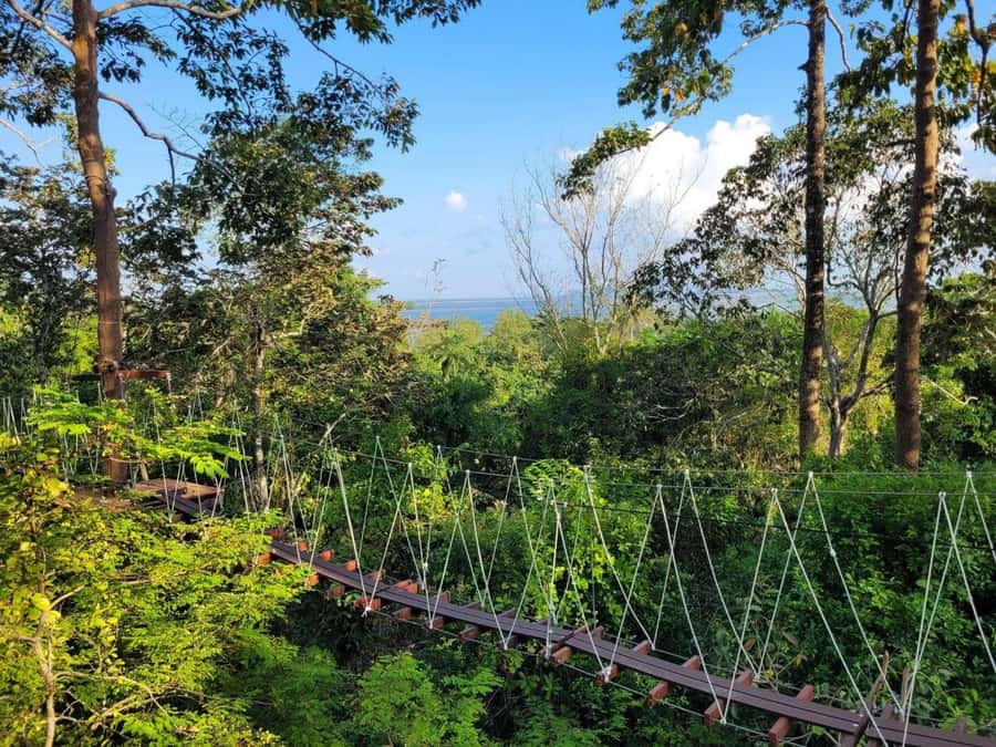Krabi Zipline adventure - Guides, safety, and the feel of the course