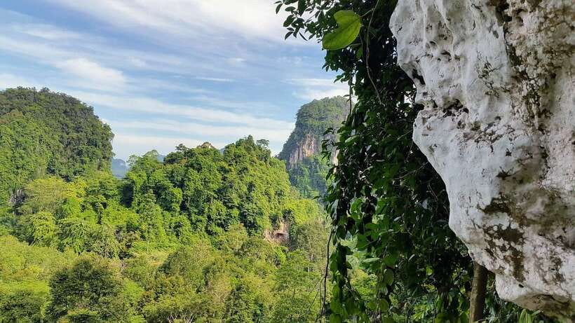 Krabi: Ziplining with Abseiling and Rock Climbing Options - Pickup is simple, with a few important exceptions