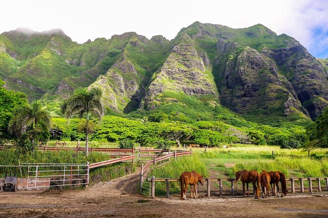 Kualoa Ranch - Zipline Tour - Key points to know before booking