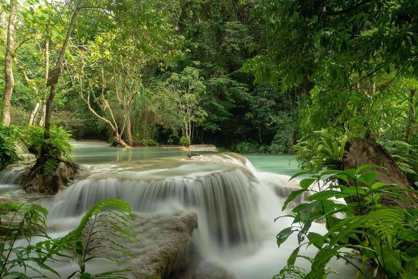 Kuang Si Waterfall, Tree Top Cafe, Ziplining - Key points at a glance