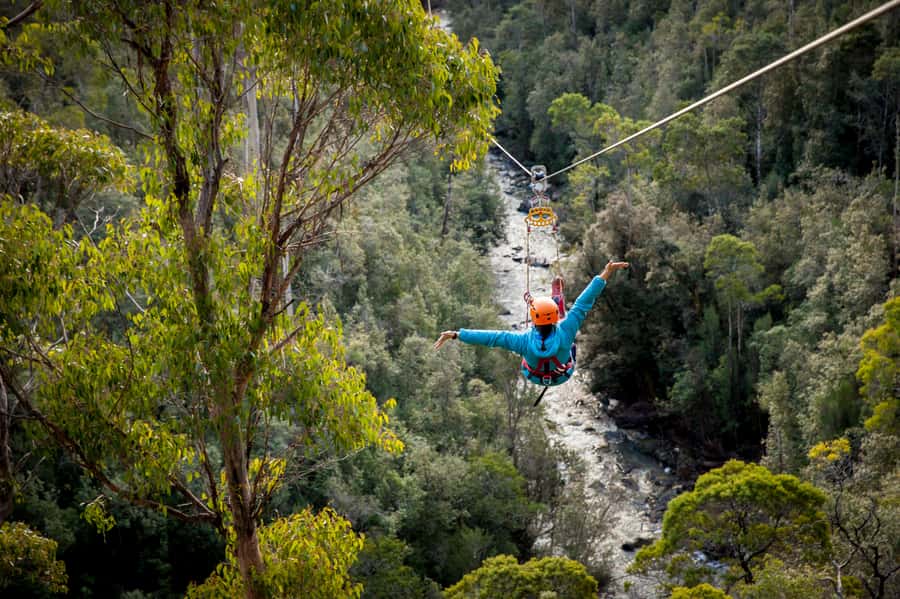 Launceston: Hollybank Forest Treetop Zip Lining with Guide - Six rides from treetop to treetop