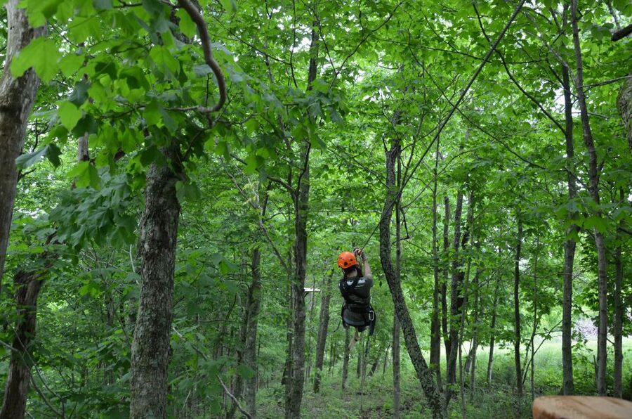 Lexington: Fully Guided Zipline Canopy Tour - Key points to know before you book