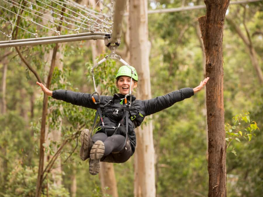 Lorne: Live Wire Park Ticket with Zip Line Rollercoaster - A roller coaster suspended in the Otway trees