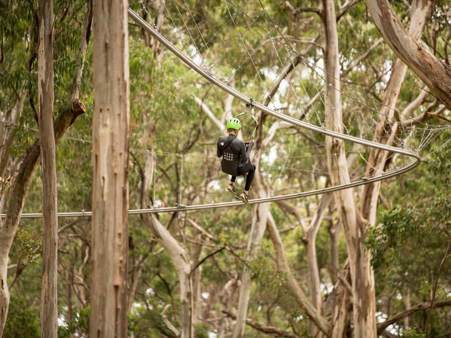 Lorne: Live Wire Park Ticket with Zip Line Rollercoaster - What the $42 ticket includes