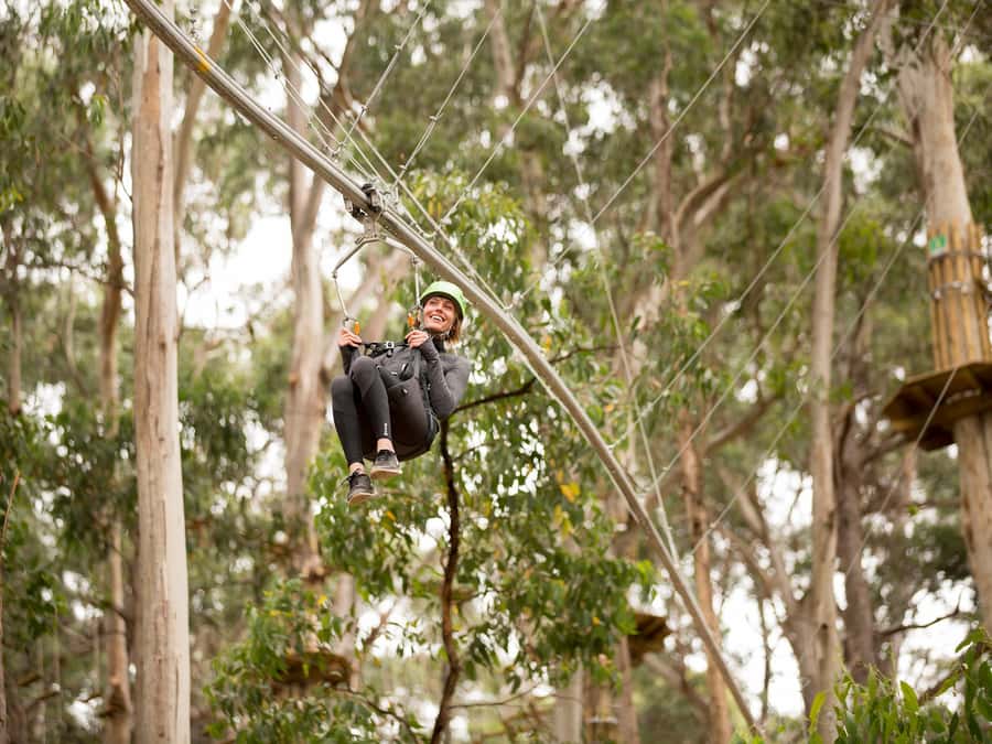 Lorne: Live Wire Park Ticket with Zip Line Rollercoaster - The Spring Circuit trampolines