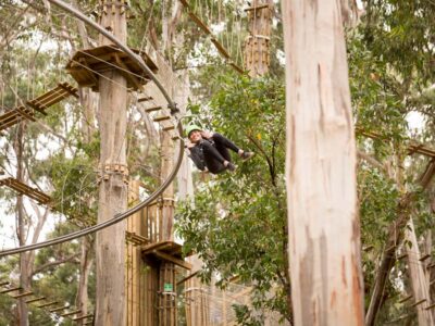 Lorne: Live Wire Park Ticket with Zip Line Rollercoaster