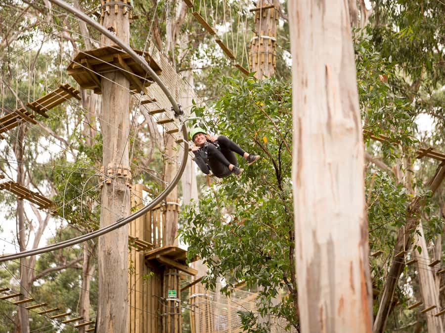 Lorne: Live Wire Park Ticket with Zip Line Rollercoaster - Checking in at Building 1