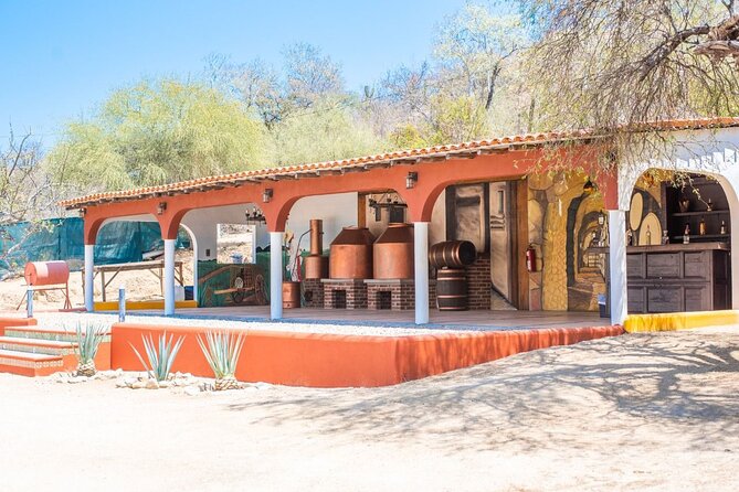 Los Cabos Costa Azul Zipline Eco-Adventure - Who will get the most from this adventure