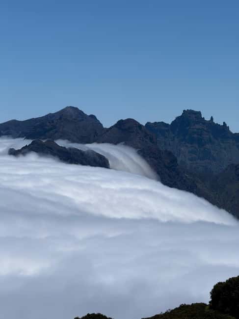 Madeira Adrenaline 4x4 Tour: Zipline, Giant Swing and Seixal - Is $58 good value for this Madeira tour?