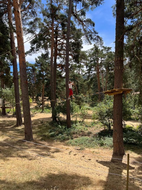 Madrid: Zip line circuits high in the trees - Key points to know before you book
