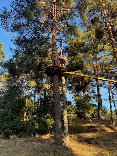 Madrid: Zip line circuits high in the trees - The forest setting adds real value