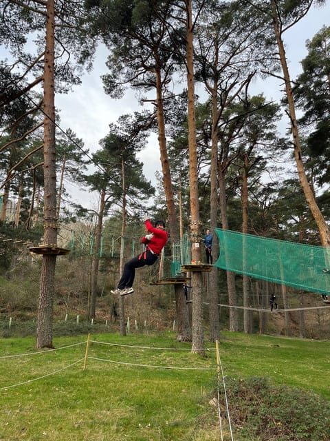Madrid: Zip line circuits high in the trees - What happens during the three-hour course