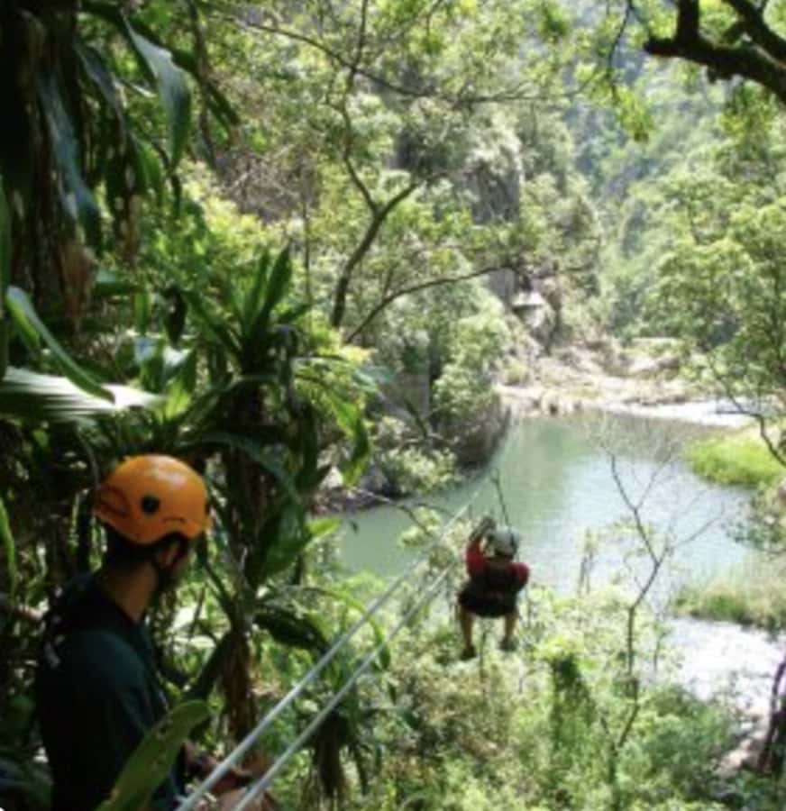 Magoebaskloof Adventures: 2H Canopy Tour - Above the forest floor in Magoebaskloof