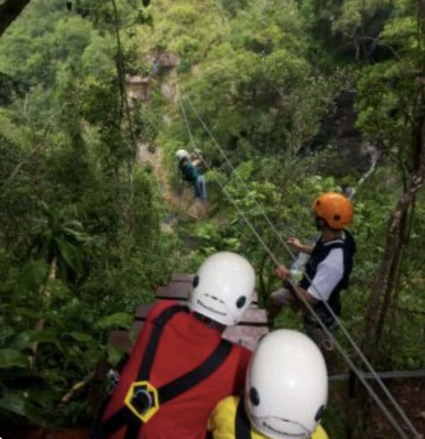 Magoebaskloof Adventures: 2H Canopy Tour - Who will enjoy Magoebaskloof Canopy Tours?