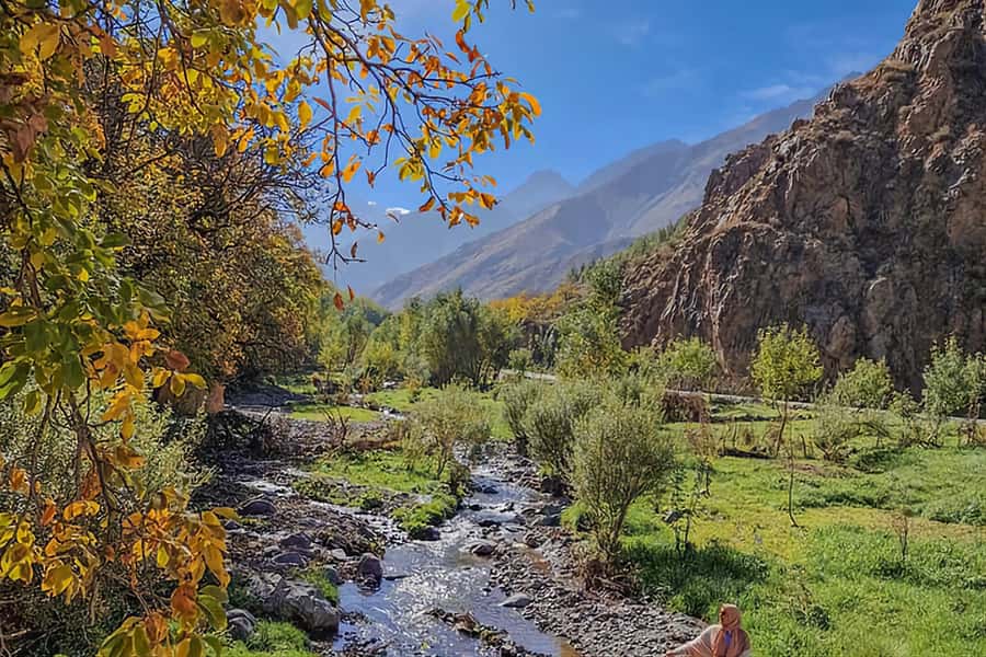 Marrakech: Zip Line in Atlas Mountains & Berber Villages - Argan oil, tea, and a women’s co-operative