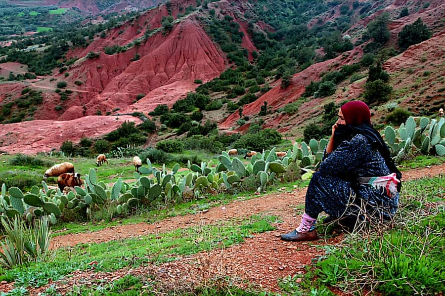 Marrakech: Zipline and Breakfast in the Atlas Mountains - What the zipline course is really like