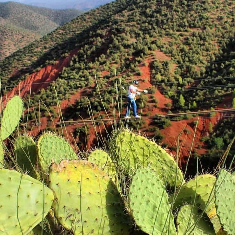 Marrakech: Zipline and Breakfast in the Atlas Mountains - Timing, cancellation, and value at $81