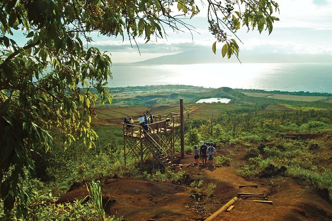 Maui 8 line Zipline Adventure: Soar above valleys & Island views - Key details before you book