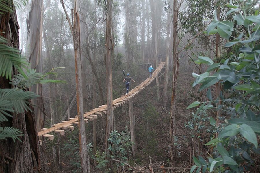 Maui: Haleakala 6-Line Zipline Adventure - Key points to know before you book