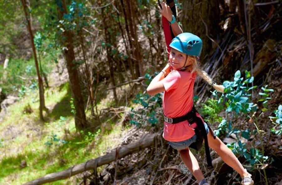 Maui: Haleakala 6-Line Zipline Adventure - How thrilling is the final pendulum line?