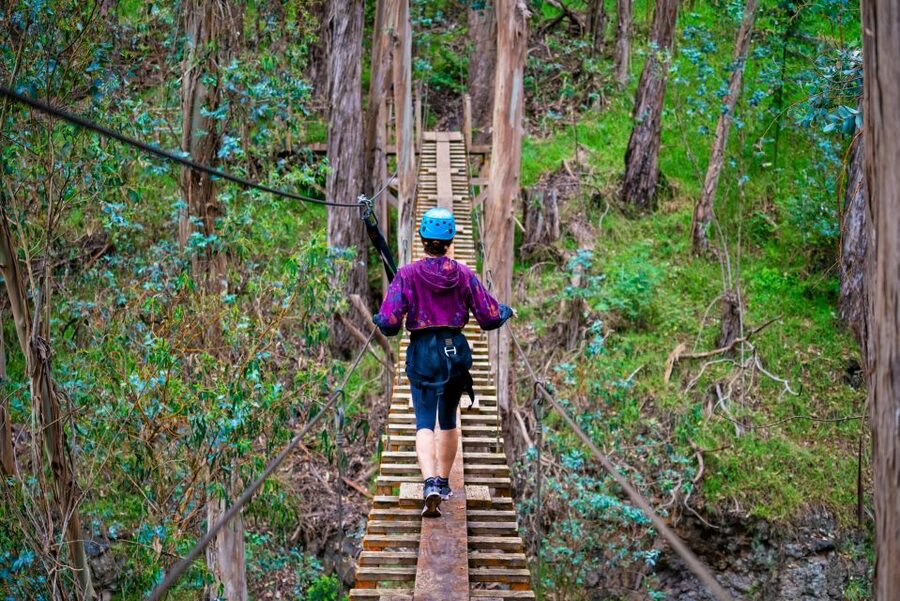 Maui: Haleakala 6-Line Zipline Adventure - Who should choose this Haleakala adventure?