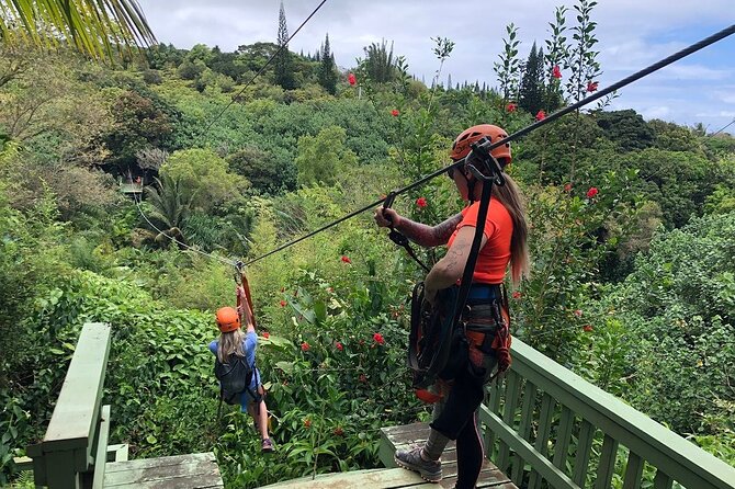 Maui Zipline Eco Adventure: 8 Lines through the Jungle - Key Points at a Glance