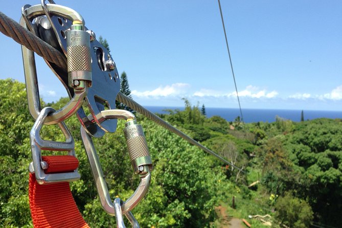 Maui Zipline Eco Adventure: 8 Lines through the Jungle - Arriving at Jungle Zipline Maui