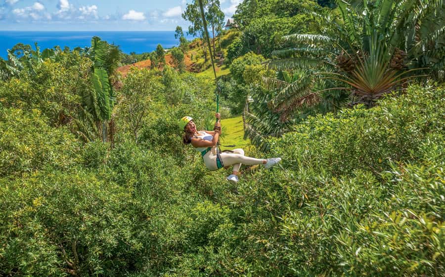 Mauritius: Vallé Advenature Park - Adventure Tour Zipline - From the park entrance to the first platform