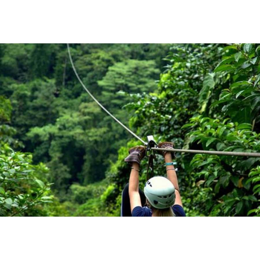 Medellin: 4-Hour Zip-Line Adventure - Key points to know before you book
