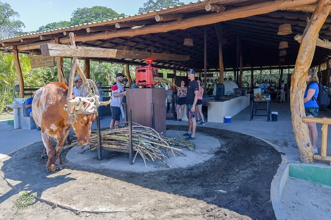 Mega Combo Adventure - Horseback riding and hiking through Guanacaste
