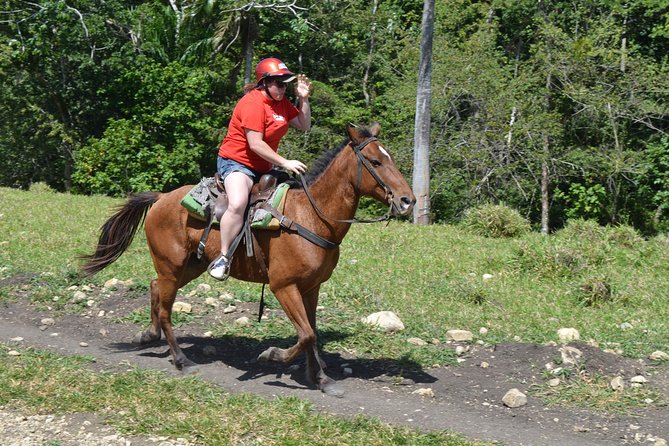 Mega Extreme Adventure: Horseback Riding, Ziplining and more - Dominican buffet lunch and the farm stop